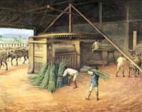 Engenho de açúcar do período colonial brasileiro